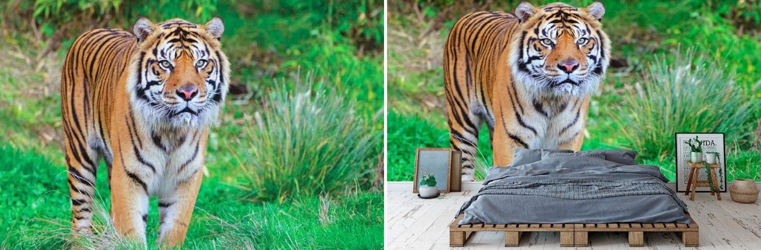 Classic and Modern Murals - Animals and Wild Life