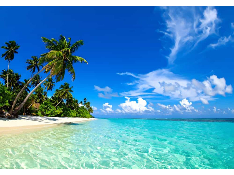 Crystal Clear Water Beach - AI Art Wall Mural for Contemporary Interiors