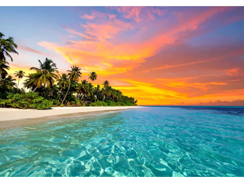 Vibrant Sunset Palm Beach - AI Art Wall Mural for Contemporary Interiors