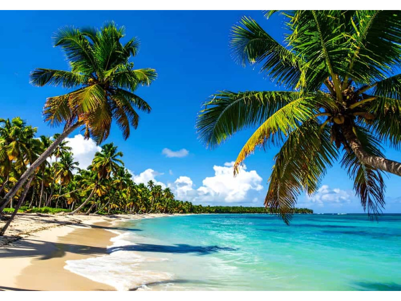 Vibrant Tropical Beach - AI Art Wall Mural for Contemporary Interiors