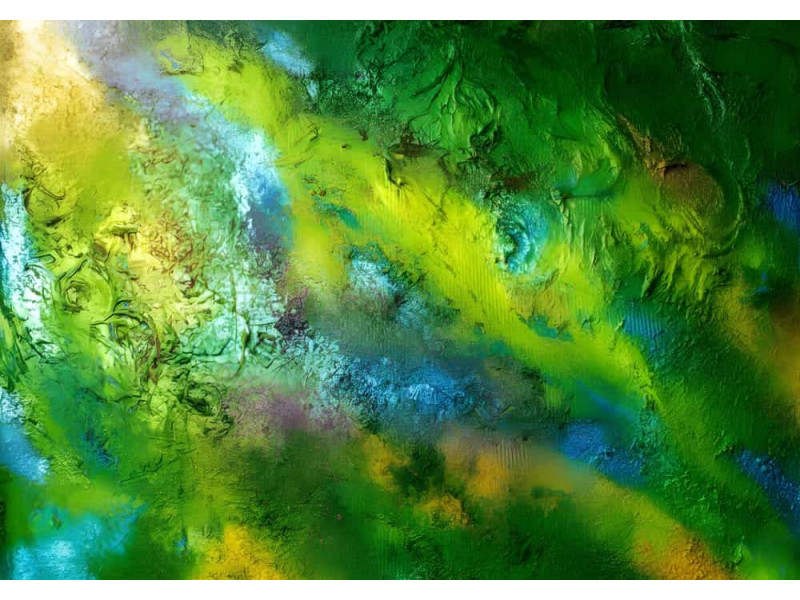 Sunlit Canopy Forest Light - Natural AI Wall Mural