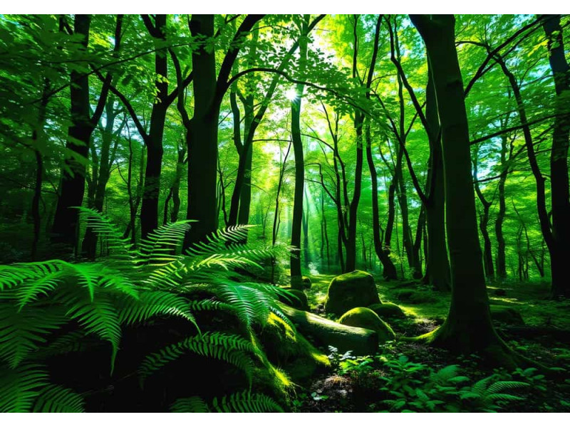 Sunlit Forest Dreams - AI Art Wall Mural for Contemporary Interiors