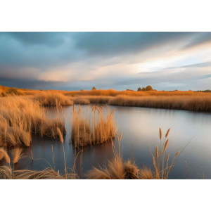 Marshland Sunset - AI Art Wall Mural for Contemporary Interiors | Wall4Soul