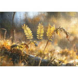 Morning Light Ferns - AI Art Wall Mural for Contemporary Interiors
