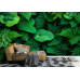 Lush Green Foliage - AI Art Wall Mural for Contemporary Interiors