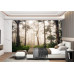 Mystical Early Morning Forest Path - AI Art Wall Mural for Contemporary Interiors