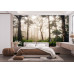 Mystical Early Morning Forest Path - AI Art Wall Mural for Contemporary Interiors