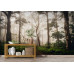 Mystical Early Morning Forest Path - AI Art Wall Mural for Contemporary Interiors