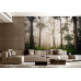 Mystical Early Morning Forest Path - AI Art Wall Mural for Contemporary Interiors