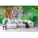 Sumatran Tiger Portrait - Classic Wall Mural for Modern Interiors