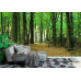 Sunlight in Green Forest - Classic Wall Mural for Modern Interiors