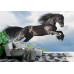 Friesian Stallion Gallop - Classic Wall Mural for Modern Interiors Friesian Stallion Gallop - Classic Wall Mural for Modern Interiors