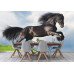 Friesian Stallion Gallop - Classic Wall Mural for Modern Interiors Friesian Stallion Gallop - Classic Wall Mural for Modern Interiors