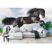 Friesian Stallion Gallop - Classic Wall Mural for Modern Interiors Friesian Stallion Gallop - Classic Wall Mural for Modern Interiors