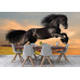 Black Friesian Horse at Sunset - Classic Wall Mural for Modern Interiors Black Friesian Horse at Sunset - Classic Wall Mural for Modern Interiors