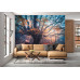 Old Magical Tree - Classic Wall Mural for Modern Interiors