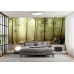 Misty Autumn Forest - Classic Wall Mural for Modern Interiors