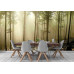 Misty Autumn Forest - Classic Wall Mural for Modern Interiors