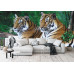 Two Tigers on Rock - Classic Wall Mural for Modern Interiors