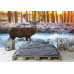 Red Deer in Morning Sun - Classic Wall Mural for Modern Interiors