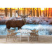 Red Deer in Morning Sun - Classic Wall Mural for Modern Interiors