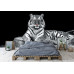 White Tiger Portrait - Classic Wall Mural for Modern Interiors