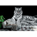 White Tiger Portrait - Classic Wall Mural for Modern Interiors