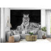 White Tiger Portrait - Classic Wall Mural for Modern Interiors