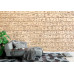 Egyptian Hieroglyphics Stone - Classic Wall Mural for Modern Interiors