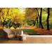 Autumn Park Pathway - Classic Wall Mural for Modern Interiors Autumn Park Pathway - Classic Wall Mural for Modern Interiors