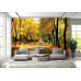 Autumn Park Pathway - Classic Wall Mural for Modern Interiors Autumn Park Pathway - Classic Wall Mural for Modern Interiors