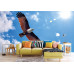 Brahminy Kite Bird - Classic Wall Mural for Modern Interiors