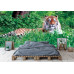 Amur Tiger on Summer Grass - Classic Wall Mural for Modern Interiors