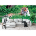 Amur Tiger on Summer Grass - Classic Wall Mural for Modern Interiors