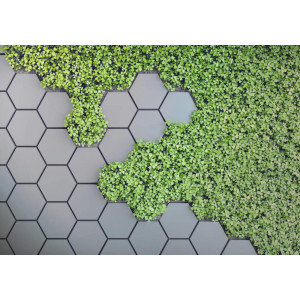 3D Green Vertical Garden - Classic Wall Mural for Modern Interiors 3D Green Vertical Garden - Classic Wall Mural for Modern Interiors