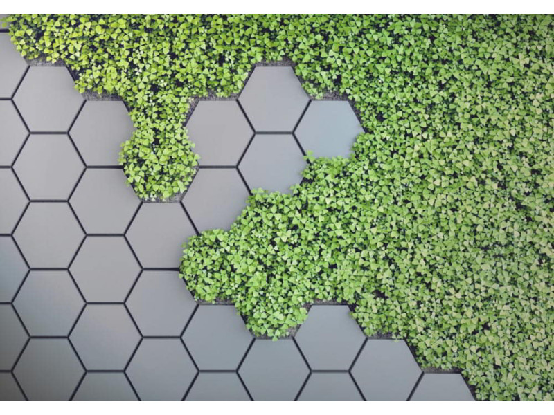 3D Green Vertical Garden - Classic Wall Mural for Modern Interiors 3D Green Vertical Garden - Classic Wall Mural for Modern Interiors