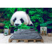 Giant Panda - Classic Wall Mural for Modern Interiors