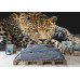 Close-Up Leopard Portrait - Classic Wall Mural for Modern Interiors