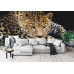 Close-Up Leopard Portrait - Classic Wall Mural for Modern Interiors