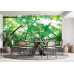 Lush Green Forest - Classic Wall Mural for Modern Interiors Lush Green Forest - Classic Wall Mural for Modern Interiors