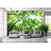 Lush Green Forest - Classic Wall Mural for Modern Interiors Lush Green Forest - Classic Wall Mural for Modern Interiors