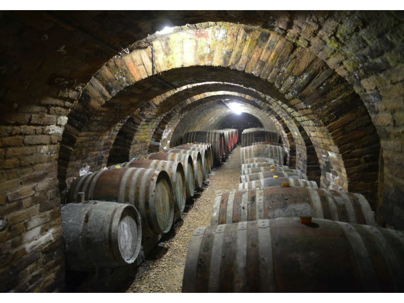 Artisan Vintage Wine Cellar - Classic Wall Mural for Modern Interiors