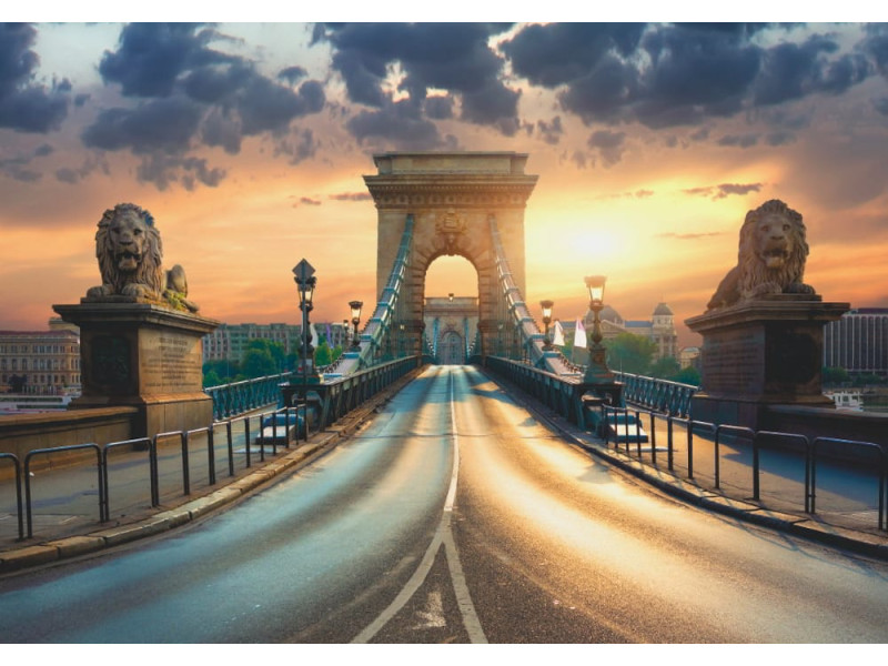 Bridge in Budapest - Classic Wall Mural for Modern Interiors