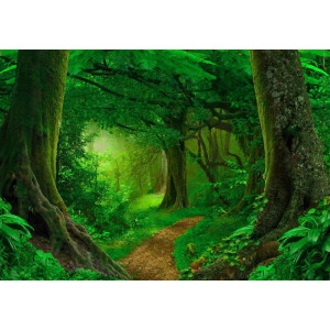 Deep Tropical Jungle - Classic Wall Mural for Modern Interiors Deep Tropical Jungle - Classic Wall Mural for Modern Interiors | Wall4Soul