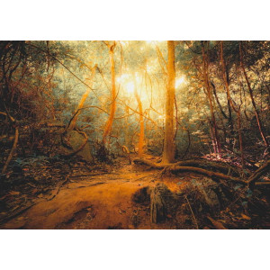 Fantasy Jungle Forest - Classic Wall Mural for Modern Interiors Fantasy Jungle Forest - Classic Wall Mural for Modern Interiors | Wall4Soul