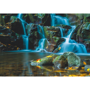 Flowing Forest Stream - Classic Wall Mural for Modern Interiors Flowing Forest Stream - Classic Wall Mural for Modern Interiors | Wall4Soul