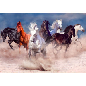 Horse Herd in Desert Dust Storm - Classic Wall Mural for Modern Interiors Horse Herd in Desert Dust Storm - Classic Wall Mural for Modern Interiors | Wall4Soul