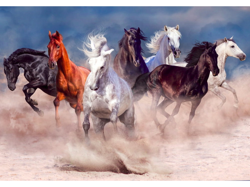 Horse Herd in Desert Dust Storm - Classic Wall Mural for Modern Interiors