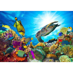 Coral Reef with Fishes & Sea Turtle - Classic Wall Mural for Modern Interiors Coral Reef with Fishes & Sea Turtle - Classic Wall Mural for Modern Interiors | Wall4Soul