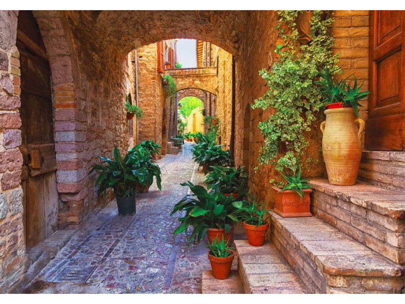 Potted Plants in Spello Streets - Classic Wall Mural for Modern Interiors